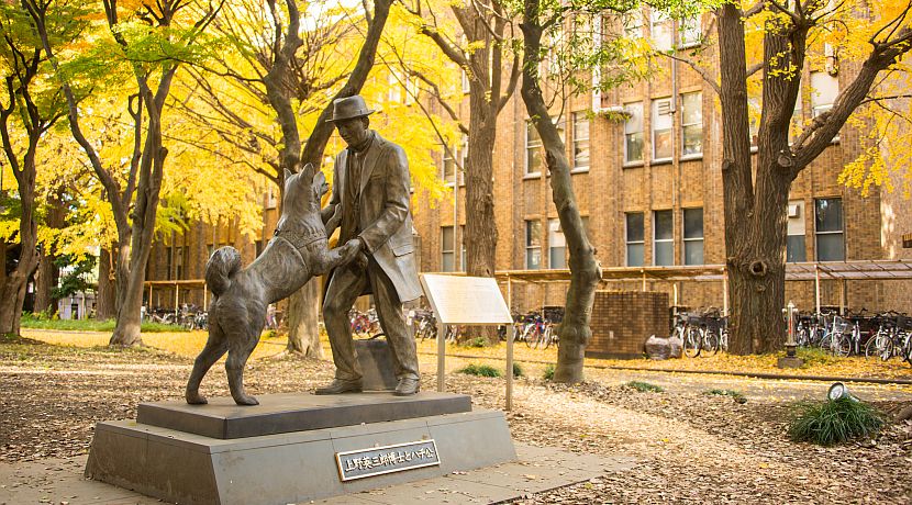 Iconic Animals - The Stories Behind Some Of Nature's Best-Known Symbols