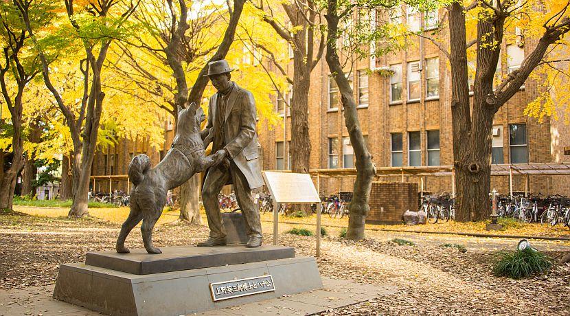 Iconic Animals - The Stories Behind Some Of Nature's Best-Known Symbols