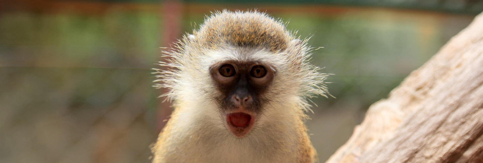 Why You Should Visit Malawi For Your Trip Abroad! 