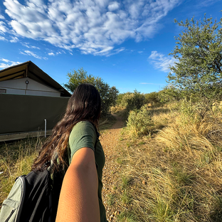 What It’s Really Like Volunteering at a Wildlife Sanctuary in Namibia - Puneet's Review