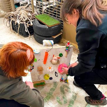 How Volunteers Help Shape Chimpanzee Enrichment at Chimp Eden