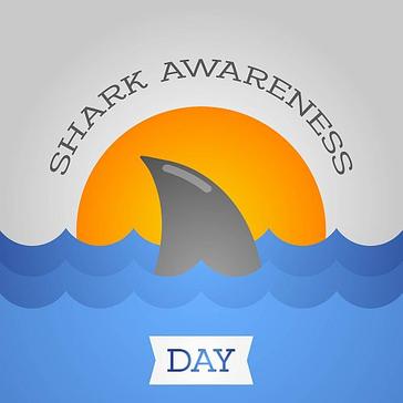 Shark Awareness Day 2017 - 50 Million Sharks Are Caught In Nets Every Year!