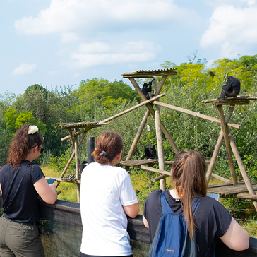 Choosing the Right Wildlife Volunteer Program for You