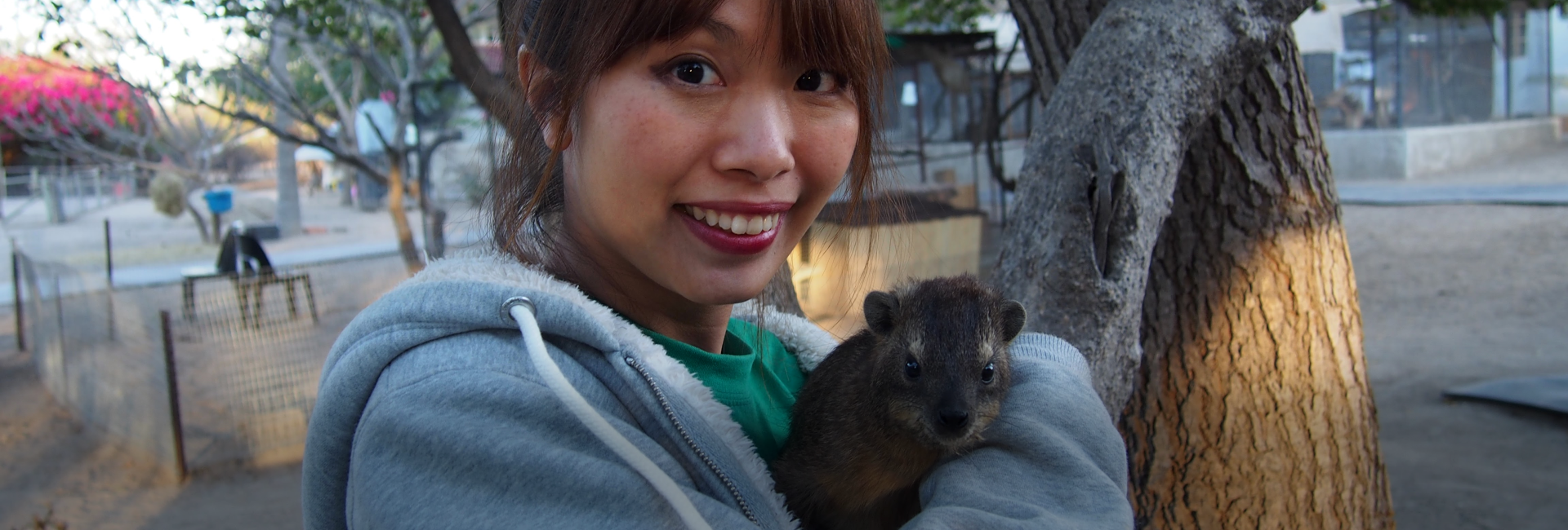 Teaching Time And A Crocodile Release - Updates From The Wildlife Orphanage