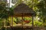 Hammock