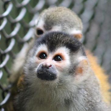 10% Off All Costa Rica Projects - Save On These Amazing Volunteer Adventures Until July 31st!