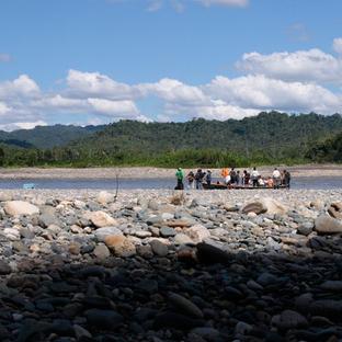 What's The Latest In The Amazon? - 87% Of All Biodiversity Has Returned To Their Regenerating Rainforest!