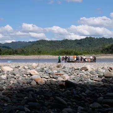 What's The Latest In The Amazon? - 87% Of All Biodiversity Has Returned To Their Regenerating Rainforest!