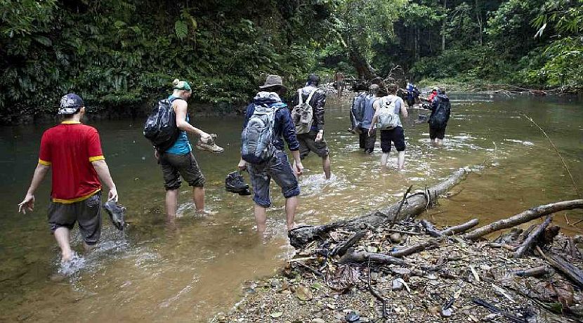 Orangutan and Tribes Malaysia Tour Video Blog 