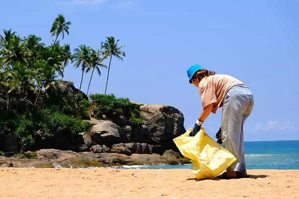 Beach Clean Up - The Great Turtle Project