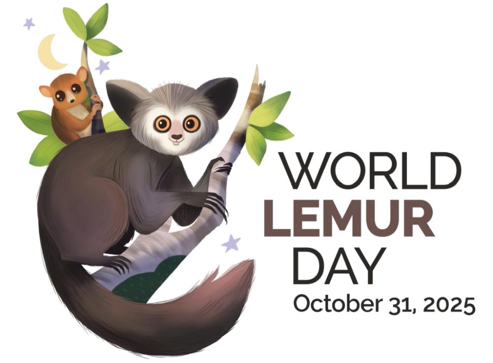 World Lemur Day Graphic