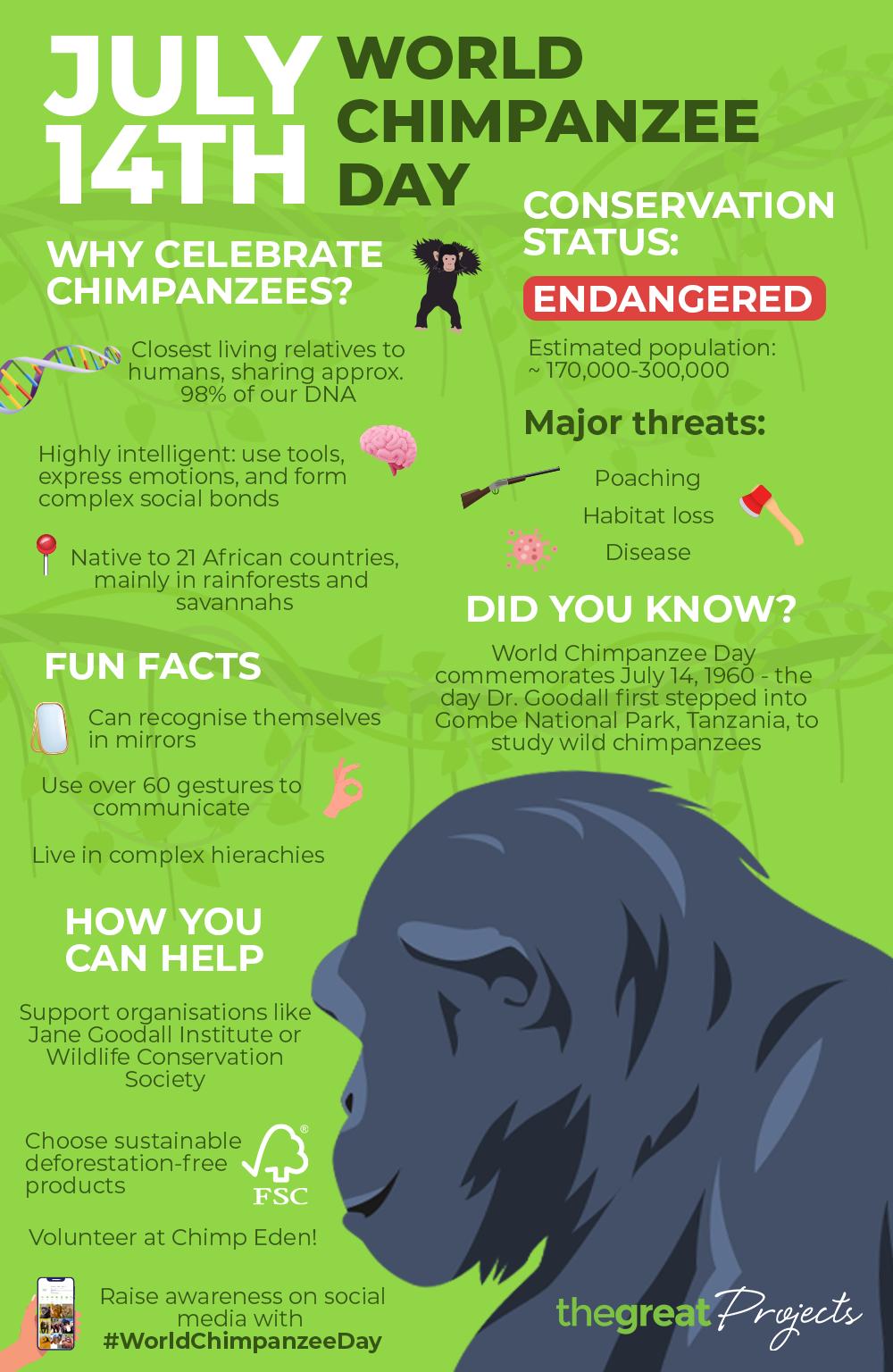World Chimpanzee Day 2025 Infographic