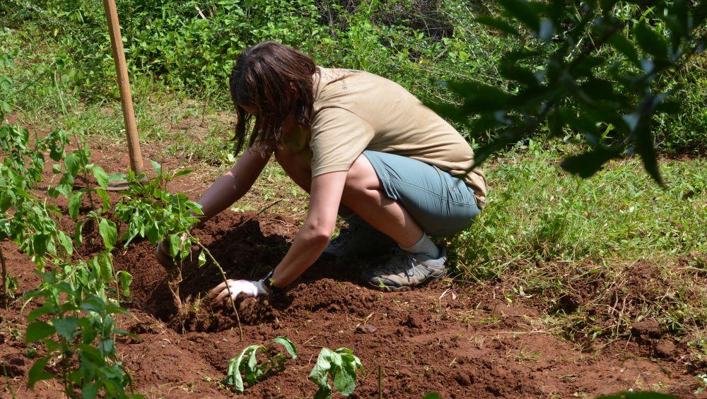 The Great Elephant Project Volunteer Kasia