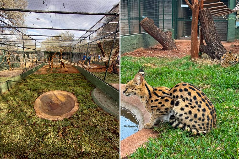 Volunteers Fixed Water Point for Serval