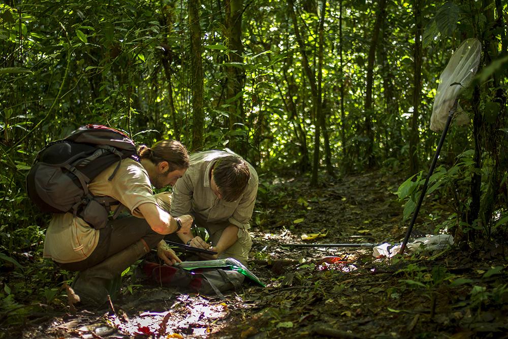 Wildlife Transect Monitoring