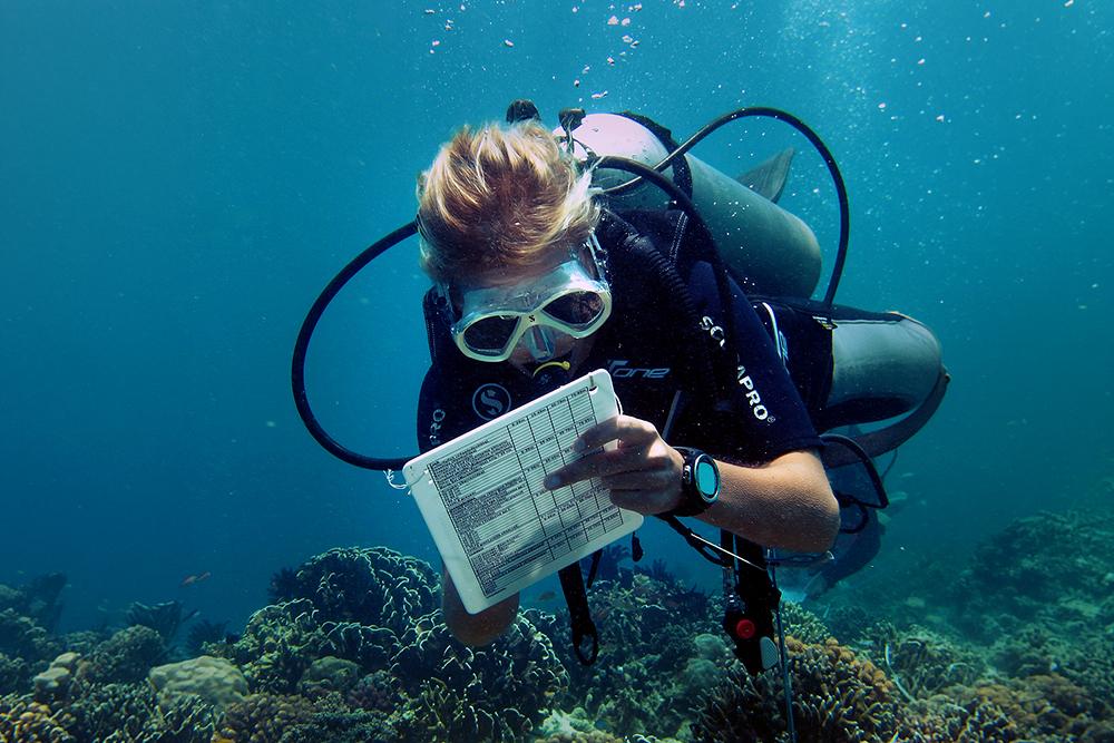 Perhentian Islands Marine Project