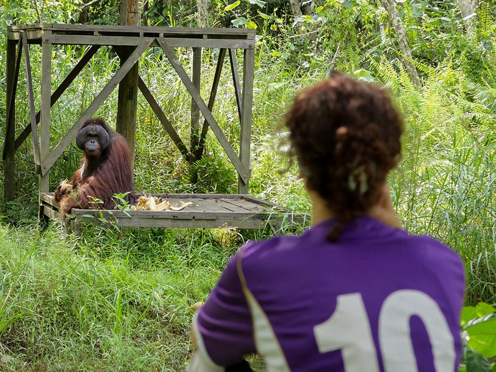 Volunteer Gabriella and Orangutan on Island