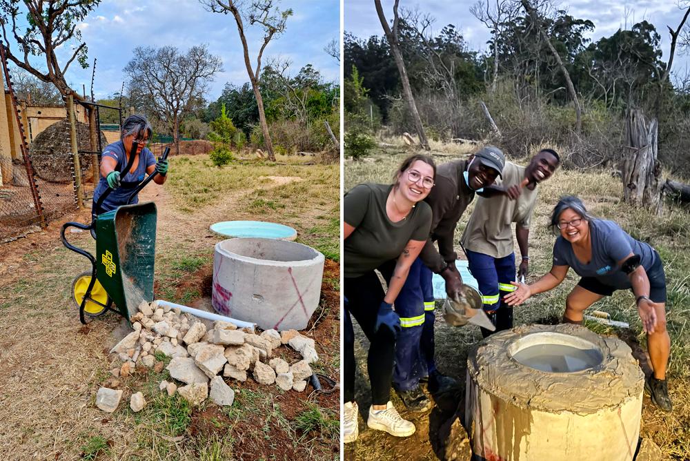 Volunteers building water basin for chimp Joao