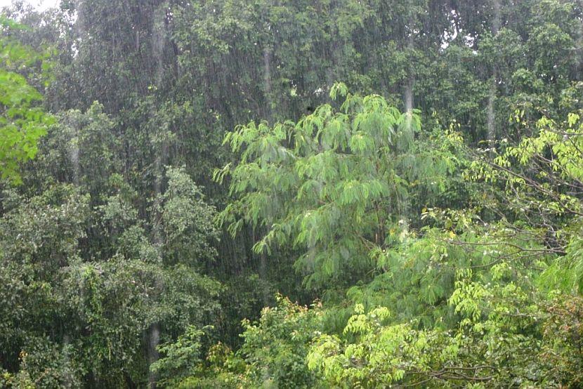 Rain in Sri Lanka