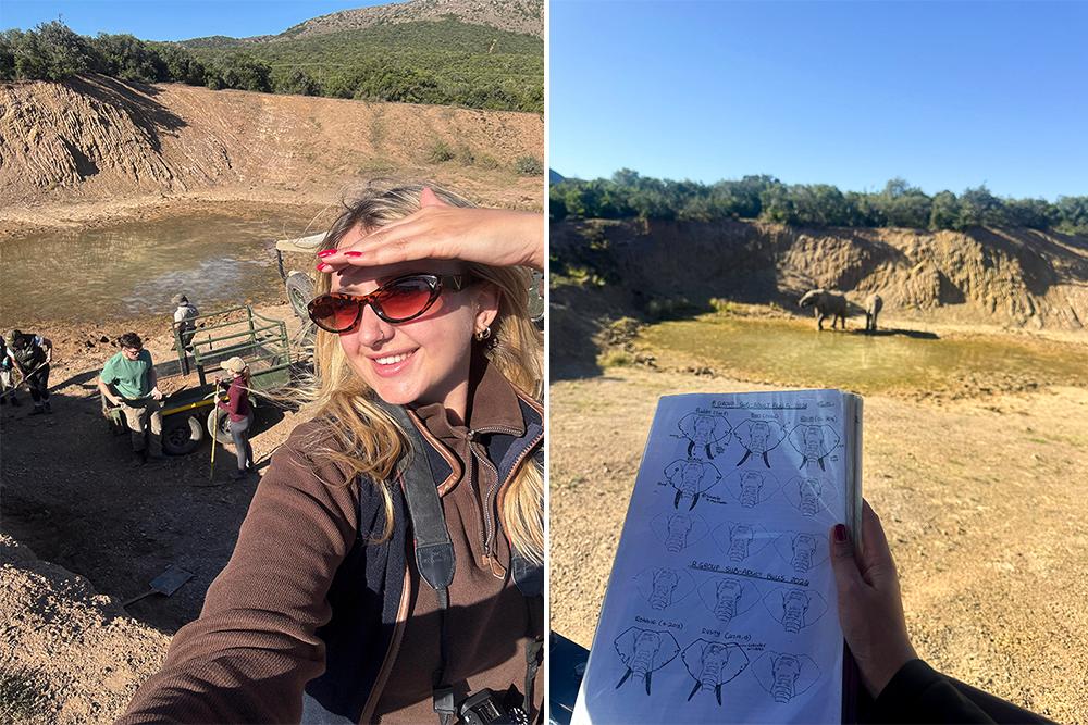 Shamwari Conservation Experience
