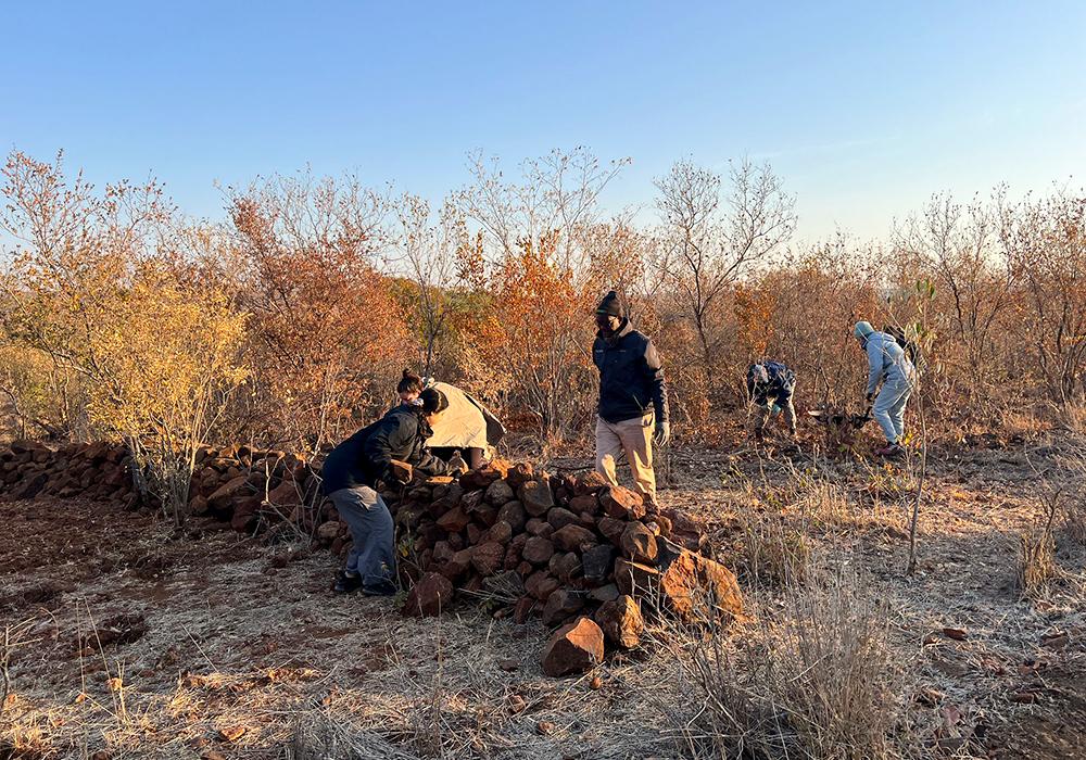 Volunteers Building a Wall - Victoria Falls Conservation Experience