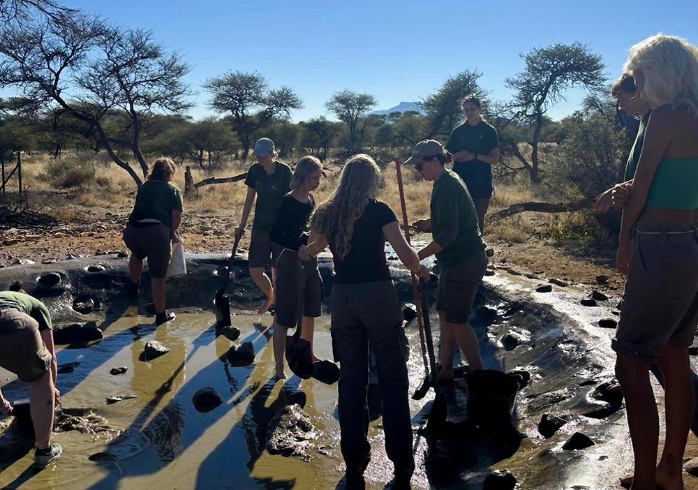 Volunteers cleaning wateringhole