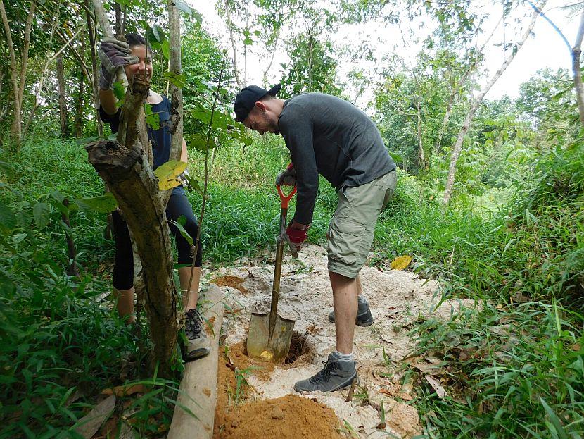 Borneo Rainforest