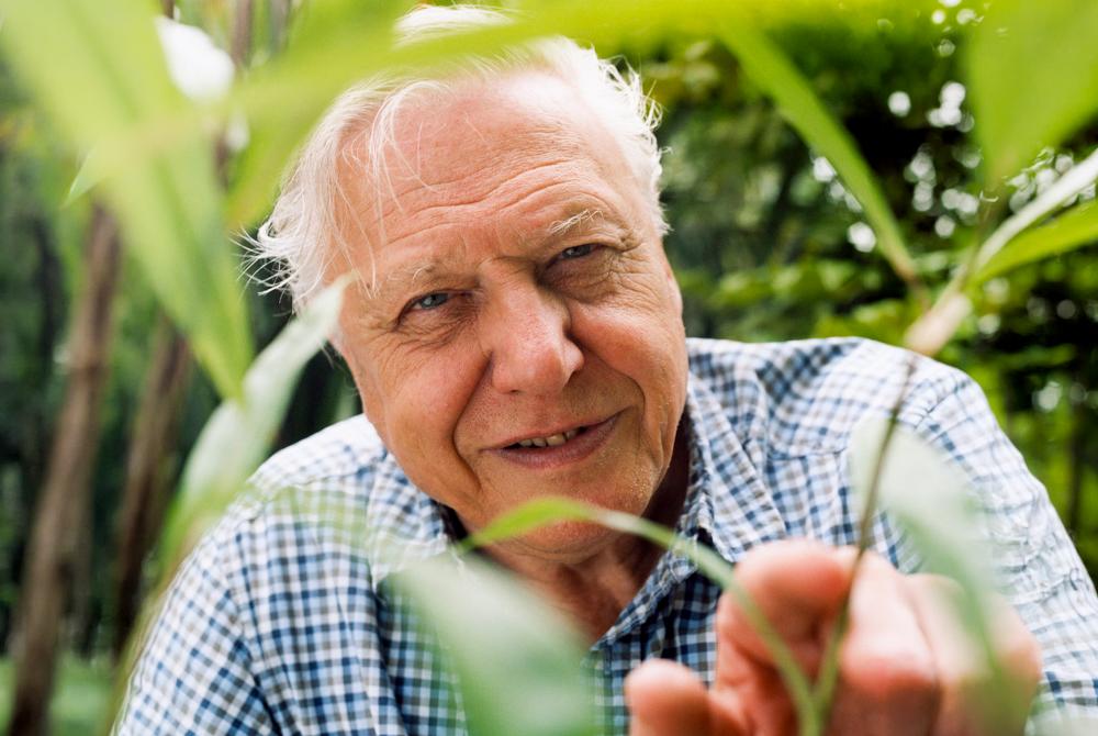 David Attenborough's Birthday