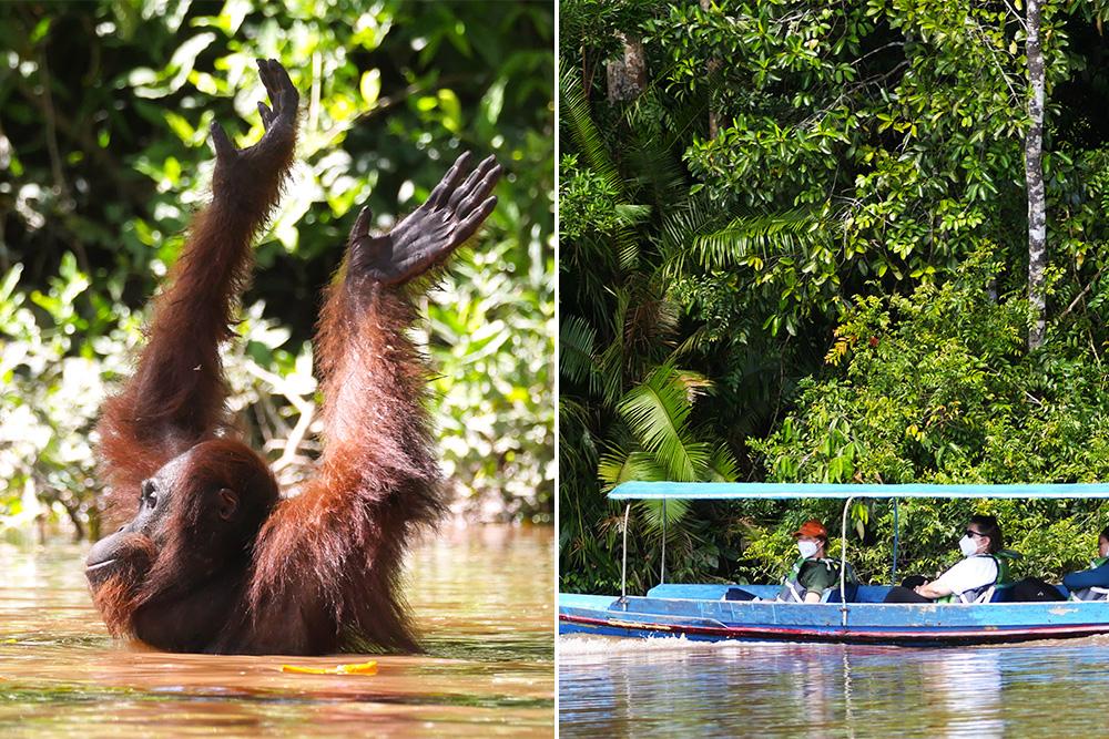 Boat Tour