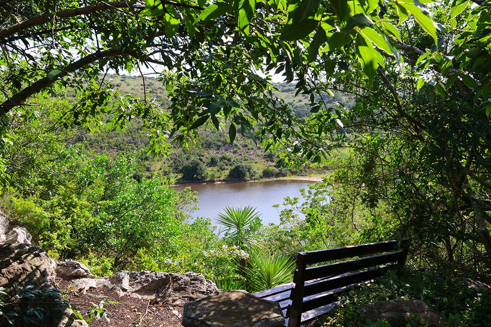 View From the Lodge