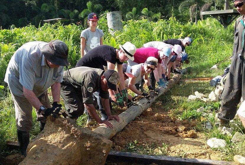 Volunteers Working At Samboja Lestari