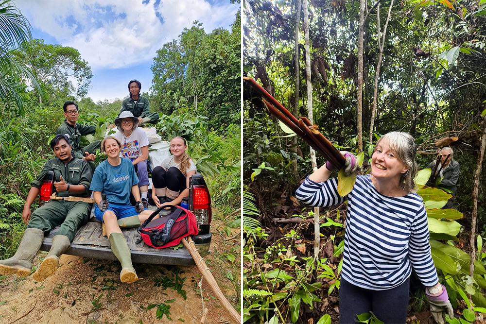First Group of 2026 Volunteers at Samboja Lestari Collecting Nesting Materials