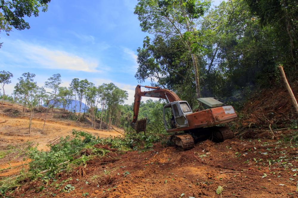 Habitat Destruction