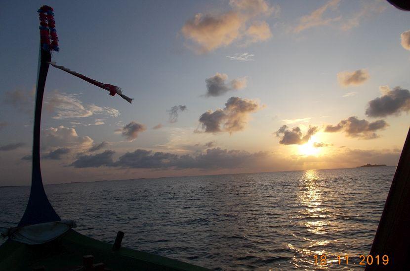 Whale Shark Conservation Project Boat