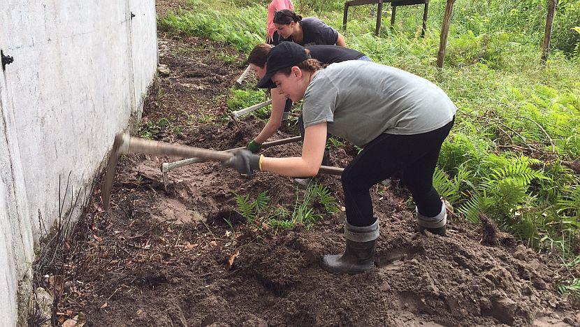 Volunteers Working in Borneo