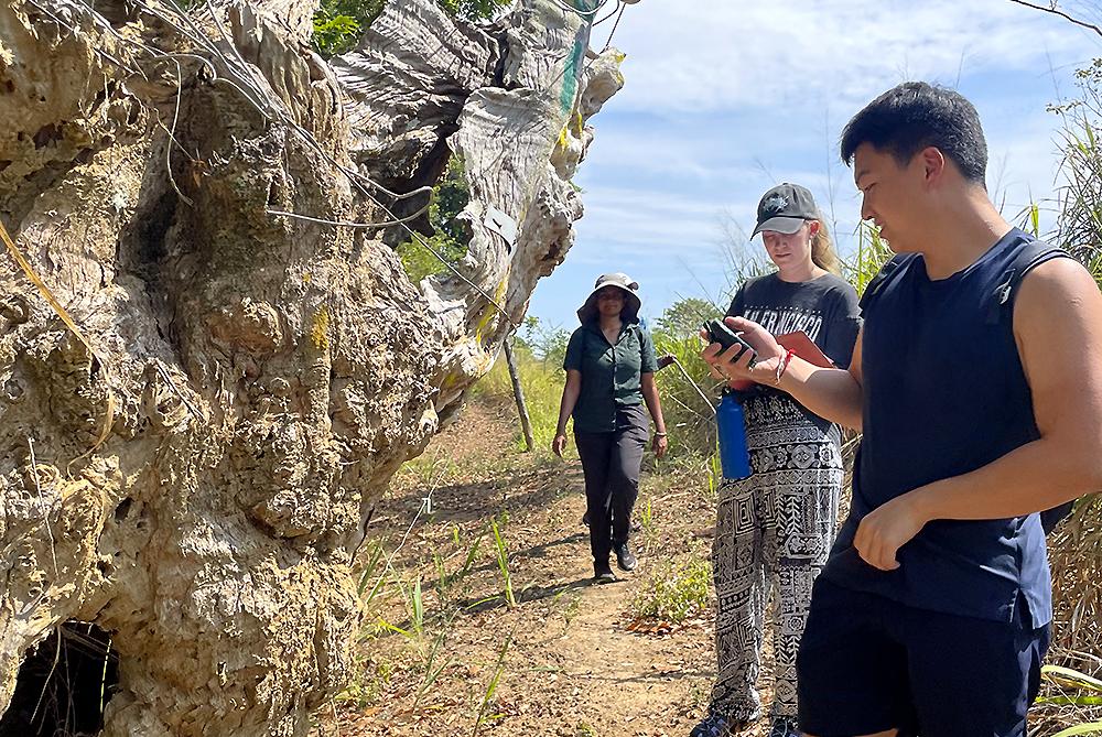 Volunteers Taking Surveys 