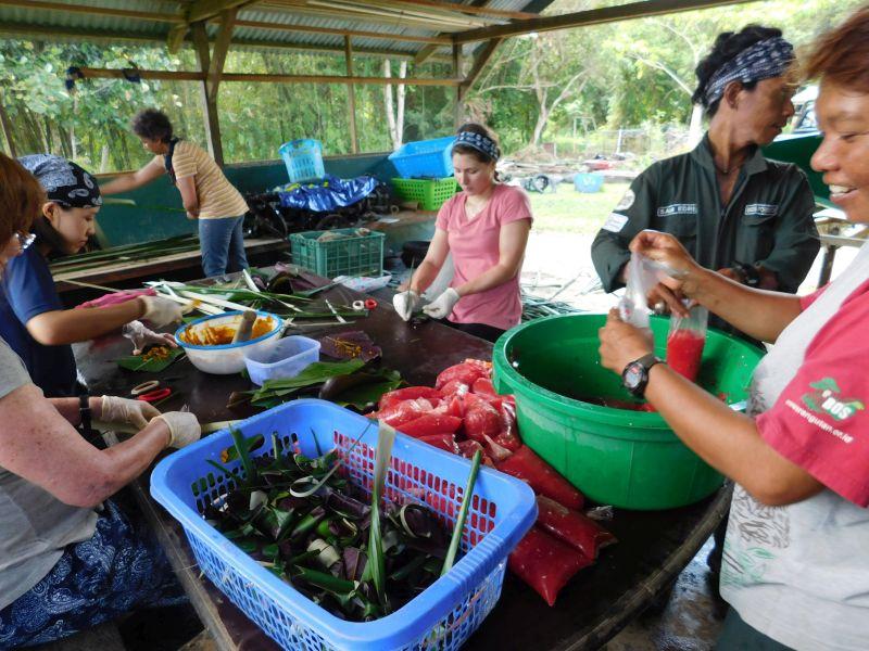 volunteer with orangutans