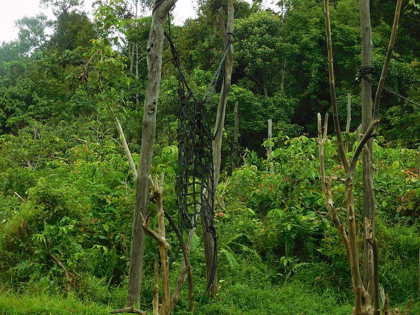 Borneo Hammock