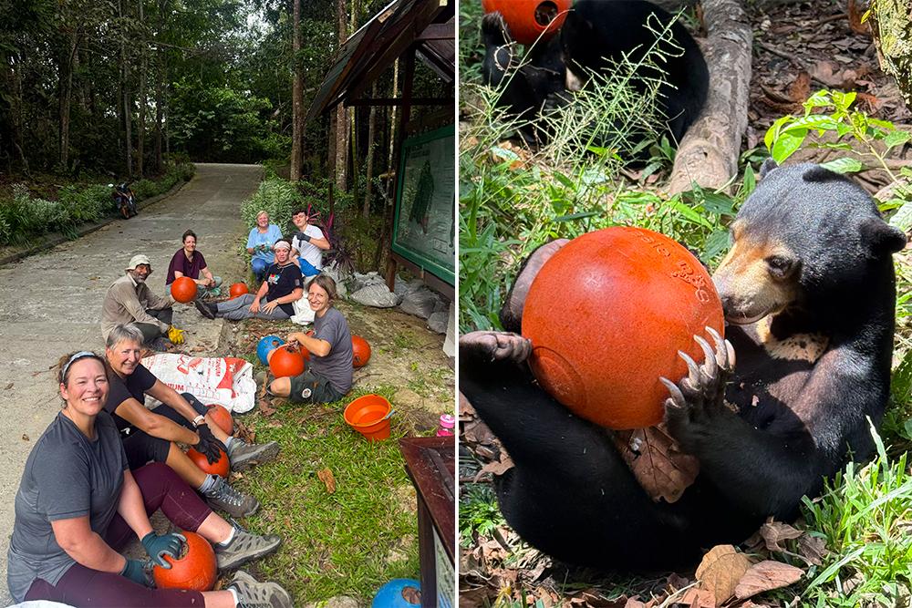Volunteers Making Enrichment for the Sun Bears