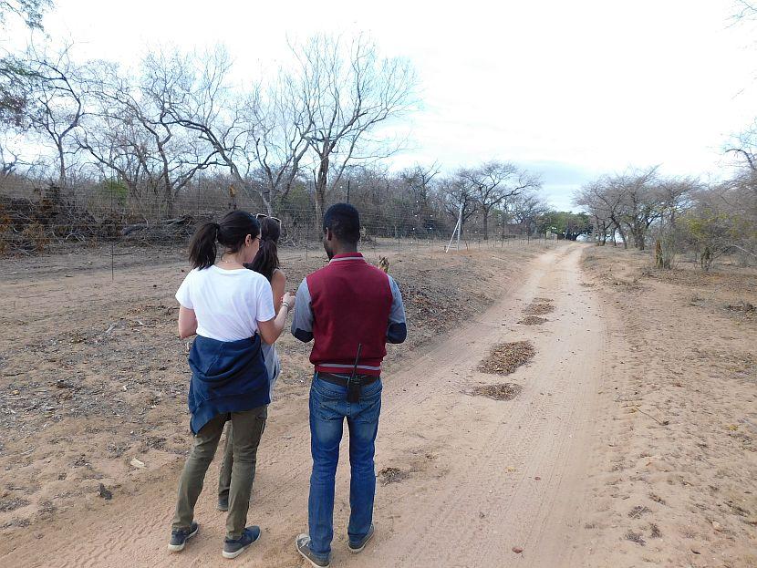 Volunteers In South Africa