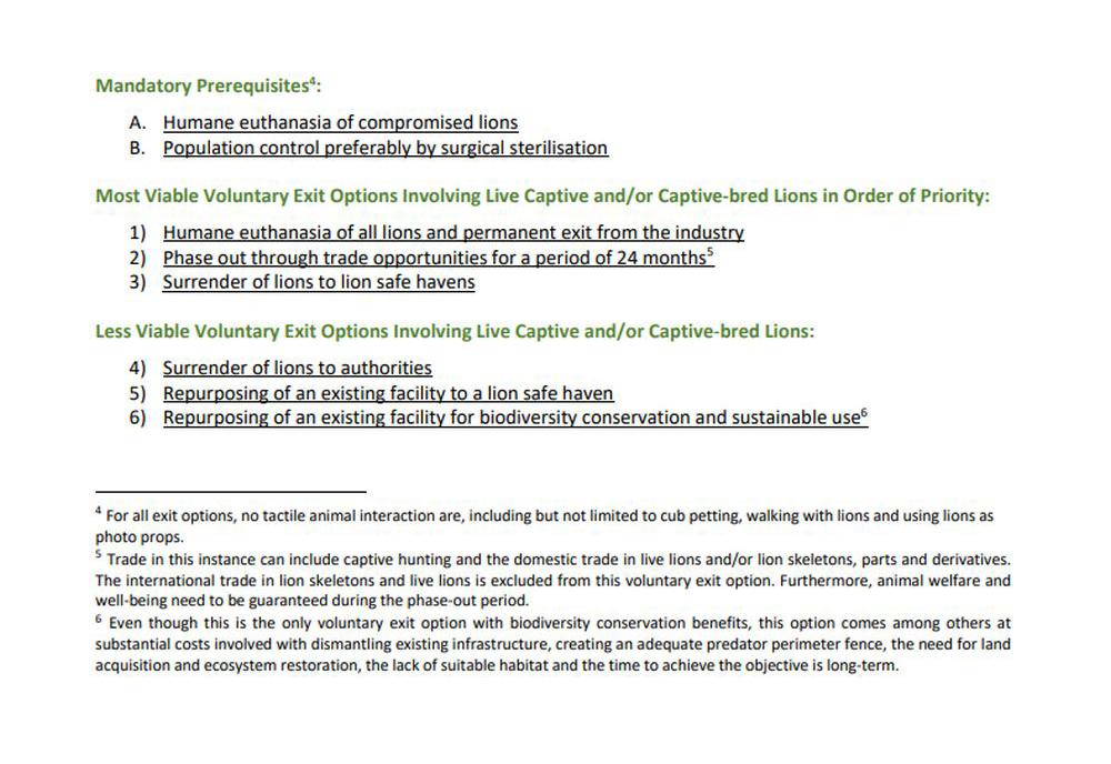 MTT Report to Identify and Recommend Voluntary Exit Options and Pathways for the Captive Lion Industry Screenshot