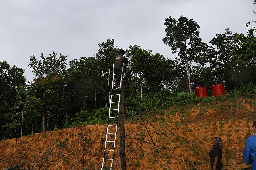 Orangutan Enrichment Borneo