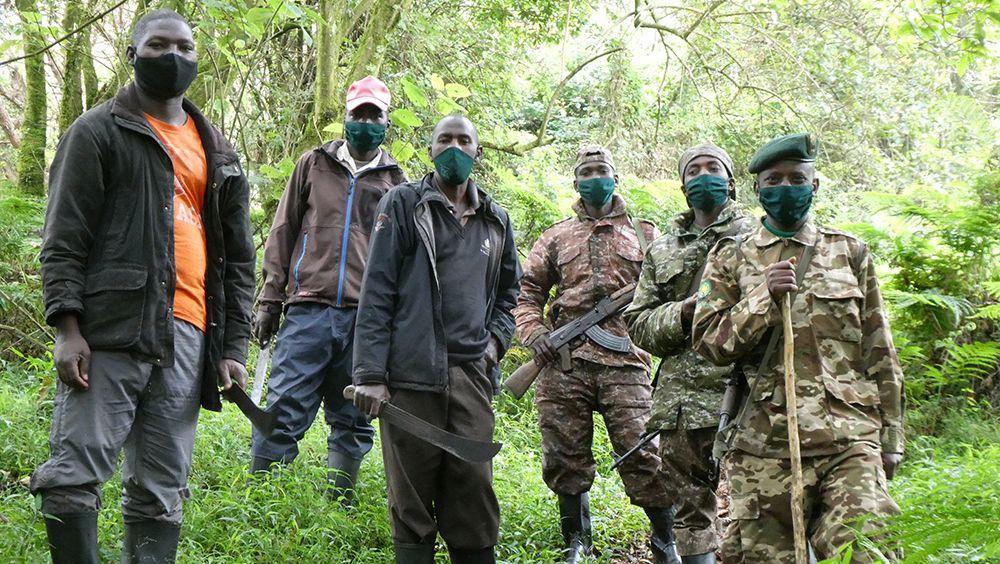 Gorilla Trackers and Protectors