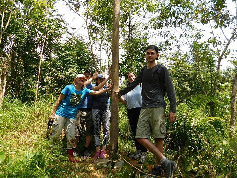 Borneo Orangutan Conservation