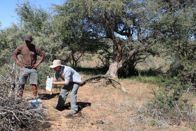 camera traps at the Namibia Wildlife Sanctuary