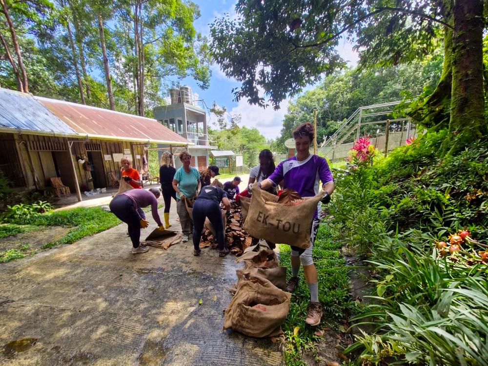 Volunteers Making Enrichment Parcels