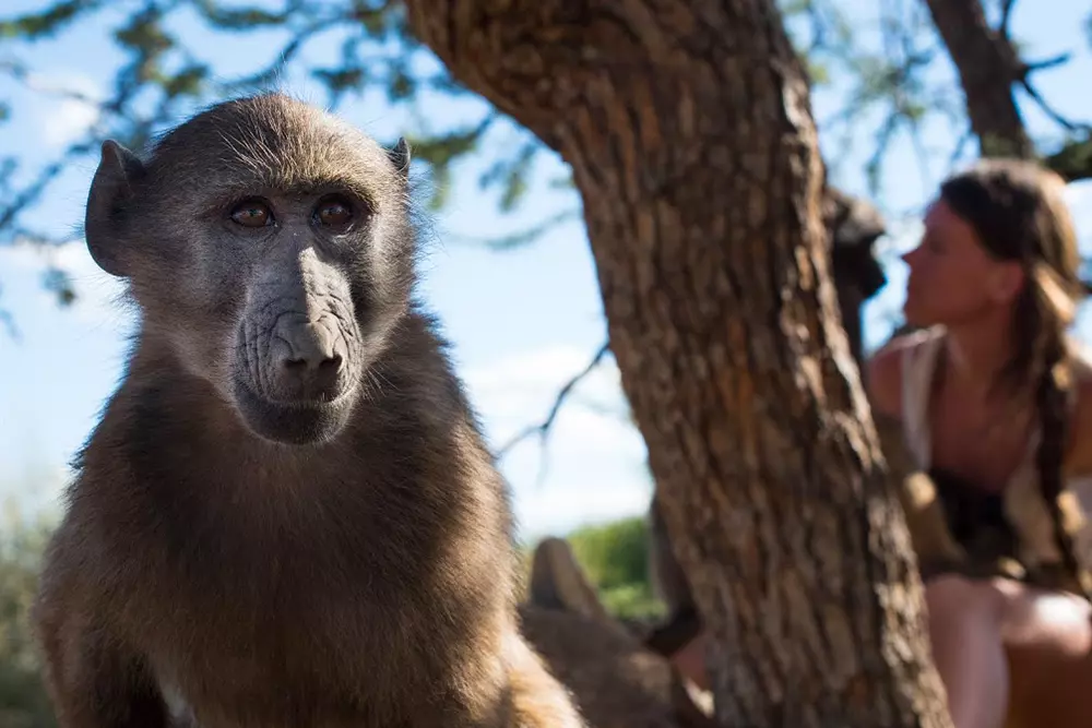 Namibia Wildlife Sanctuary