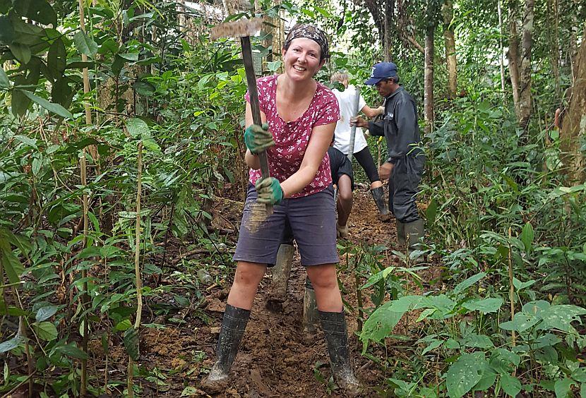 Orangutan volunteer