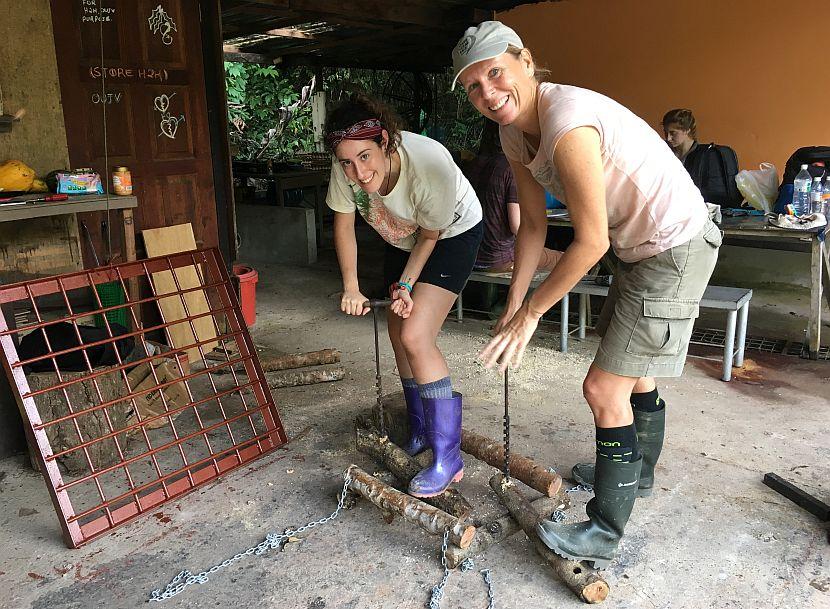 volunteering in borneo