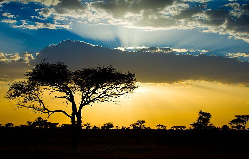 African Sunset